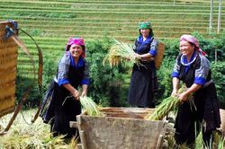 Phổ biến kiến thức cho 100 cán bộ Hội Nông dân về Chương trình mục tiêu quốc gia giảm nghèo