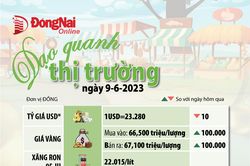 Dạo quanh thị trường 9-6-2023