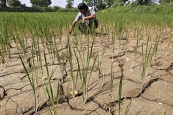 El Nino ảnh hưởng tới thời tiết năm 2023 – 2024 như thế nào