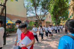 Tiếng Anh: Phổ biến 6,5-7 điểm, có thể nhiều điểm 9