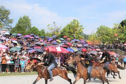 Sôi động chung kết đua ngựa truyền thống huyện Bắc Hà lần thứ 16