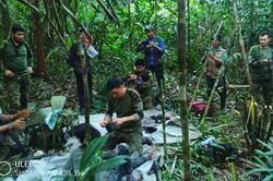Tìm thấy 4 đứa trẻ mất tích hơn 1 tháng trong rừng sau tai nạn máy bay