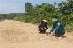 Thấp thỏm nỗi lo từ những tuyến đê xuống cấp ở Thanh Hóa