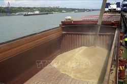 Nga khẳng định các cuộc đàm phán với Liên hợp quốc cần phải đạt kết quả