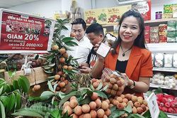 Quảng bá vải thiều Thanh Hà xuất khẩu EU, Mỹ, Nhật Bản đến với người dân Hà Nội