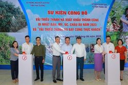 Hải Dương: Công bố sự kiện vải thiều xuất khẩu thành công đi các nước
