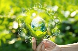 Phát triển hydro xanh tại Việt Nam cần khung chính sách và quy định rõ ràng