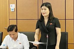 Cân nhắc việc bỏ phương pháp thặng dư trong định giá đất