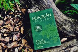 'Mùa xuân vắng lặng' để lại ấn tượng sâu trong tôi