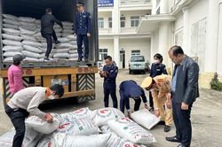 5 tháng đầu năm, Thanh Hóa xử lý 1.766 vụ vi phạm về buôn lậu, hàng giả