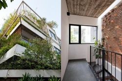 Nhà Hà Nội như rừng cây xanh mát khiến báo Mỹ 'xao xuyến'