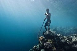 Bộ tộc 'người cá' ít ai biết đến, có thể lặn đến 60m