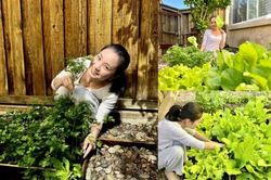 Mãn nhãn vườn rau đậm chất Việt của diễn viên Diệu Hương ở Mỹ