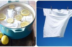 3 cách tẩy trắng quần áo bằng chanh hiệu quả và an toàn cho da tay