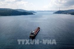 Phản ứng của Nga về Thỏa thuận ngũ cốc Biển Đen