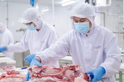 Giá heo hơi hôm nay 11/6: Đi ngang sau một tuần biến động trái chiều