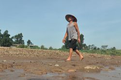 Hạ lưu hồ thủy điện Hòa Bình cạn trơ đáy, người dân có thể đi bộ qua sông Đà