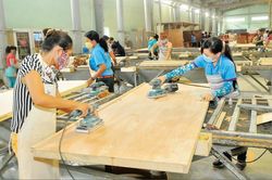 Tìm trợ lực cho xuất khẩu gỗ