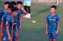HLV Troussier và ngôi sao Quang Hải