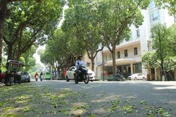 Từ ngày 13/6, nắng nóng ở Bắc Bộ giảm dần