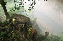 Bắc Kạn chấn chỉnh công tác quản lý, bảo vệ rừng