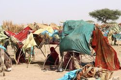 Thảm cảnh tị nạn ở biên giới Sudan - Chad