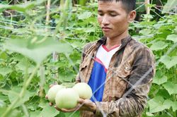 Anh nông dân ở xã biên giới với bí quyết chống hạn, trồng rau quả sạch