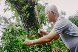 Cụ ông ẩn cư trong rừng sâu 20 năm, mang tiếng 'khùng' để làm nên thứ đặc sản có giá hàng tỷ đồng