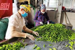 Đa dạng các sản phẩm nông sản xuất khẩu
