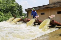 Triển khai nhiều giải pháp chống hạn vụ mùa