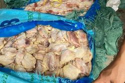 Gần 1 tấn cánh gà bốc mùi hôi thối, có dấu hiệu phân hủy được công khai kinh doanh ở quận trung tâm Hà Nội