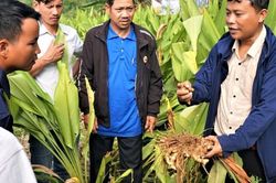 Chăm lo đời sống đồng bào dân tộc thiểu số