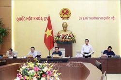 Ủy ban Thường vụ Quốc hội cho ý kiến về dự án Luật Bảo vệ quyền lợi người tiêu dùng (sửa đổi)