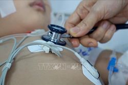 Ca mắc tay chân miệng gia tăng, Bộ Y tế yêu cầu cơ sở y tế sẵn sàng tiếp nhận ca nặng