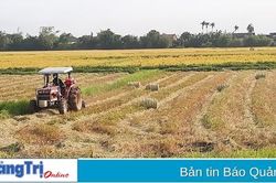 Nông dân Triệu Phong tích cực hưởng ứng phong trào sản xuất- kinh doanh giỏi
