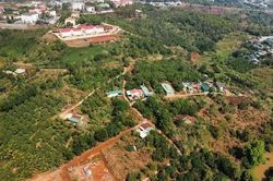 Đắk Nông thu hồi hơn 210 ha đất đã giao cho 2 doanh nghiệp