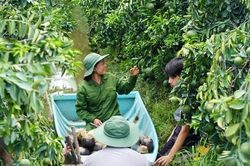Thay đổi tư duy hệ thống để phát triển HTX xứng tầm