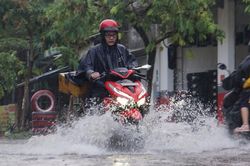 Miền Bắc đón đợt mưa 'vàng' giải nhiệt