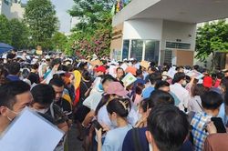 Phụ huynh xếp hàng xuyên đêm tranh suất cho con vào lớp 1