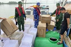 Bắt giữ phương tiện vận chuyển dầu trái phép trên biển