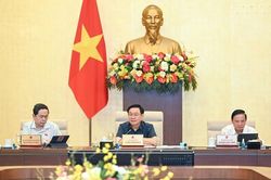 Ủy ban Thường vụ Quốc hội cho ý kiến về dự án Luật Bảo vệ quyền lợi người tiêu dùng (sửa đổi)