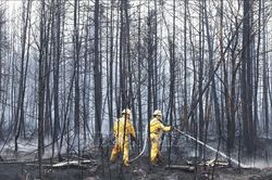 Lính cứu hỏa EU hỗ trợ ứng phó cháy rừng tại Canada