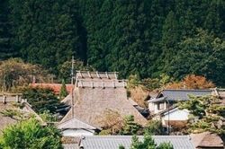 Nhật Bản: Ngôi làng hút khách du lịch bởi phong cảnh đẹp tựa cổ tích suốt 4 mùa trong năm