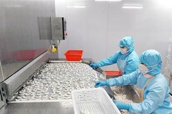 Kinh tế Quảng Ninh tăng trưởng ấn tượng, đứng thứ 4 cả nước