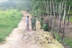 Vụ phát hiện thi thể bé sơ sinh mất một chân ở Bình Phước: Công an đã xác định được người mẹ