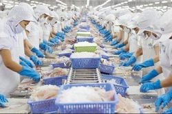Thị trường lớn dần phục hồi, Vĩnh Hoàn (VHC) thu về gần nghìn tỷ trong tháng 5