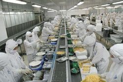 VDSC: Doanh thu xuất khẩu của Sao Ta có thể chạm đáy trong quý II và hồi phục nửa cuối năm
