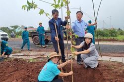 Mang Yang: Phát động trồng cây 'Đời đời nhớ ơn Bác Hồ'
