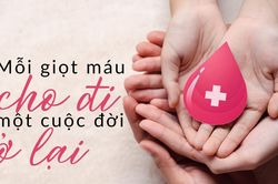 Mỗi giọt máu cho đi - Một cuộc đời ở lại