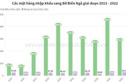 Việt Nam xuất nhập khẩu mặt hàng nào nhiều nhất với Bờ Biển Ngà?